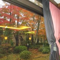 朝食場所から食事しながら庭に紅葉が鑑賞出来ます。