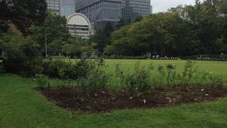 老若男女の憩いの場所