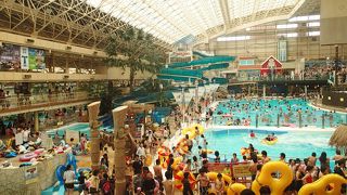 向き不向きが極端、かも