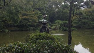 冬の冷え込んだ日には美しい姿が