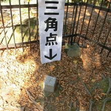 山頂だー。お疲れ様。さあ、ビールだ