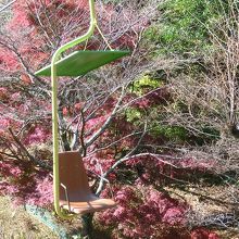 紅葉の中、移動だ〜