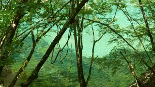 渓流は水がエメラルド色できれいです