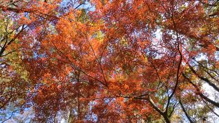 妙見山と妙見の森バーベキューテラス