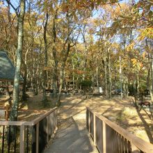 妙見の森バーベキューテラス。雰囲気も最高！