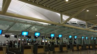 入国審査は長蛇の列