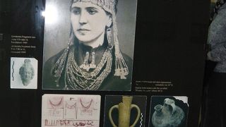 シェリーマンの夢