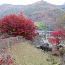 道路からの入り口：紅葉中