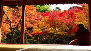 紅葉が綺麗でした