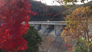 八塔寺ダム公園周辺の紅葉