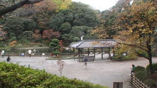 江戸時代の武家屋敷の回遊式庭園で、その風情を現代伝える憩いの場です