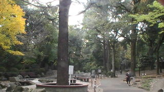 23区内にあって、森林浴やバードウォチングの楽しめる公園です。