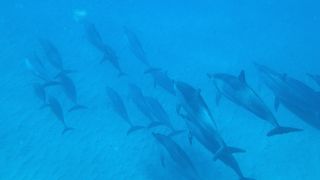 夢が叶ったよー‼︎