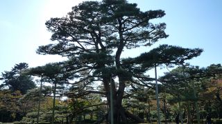 出世したいならここがいいかも！？