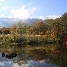 自然と一体です