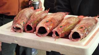 水曜日は定休日の店が多い　朝もそんなに早くない