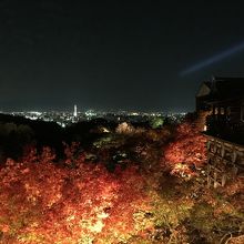 市内も一望できます