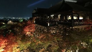 えらい日に行ってしまいました！