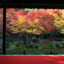 絵に書きたい美しさです