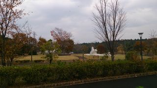 大規模分譲地にある大きい普通の公園