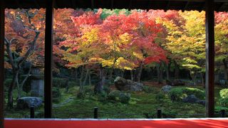 １枚の錦絵です