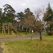 印旛沼の脇の普通の公園