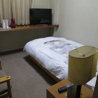 カーテンの遮光性を別にすれば、快適な客室でした。