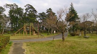 印旛沼の脇の普通の公園