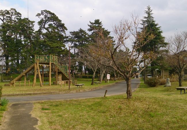 甚兵衛公園 クチコミ アクセス 営業時間 成田 フォートラベル
