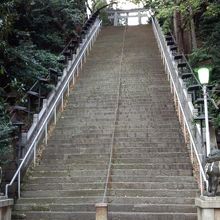 この階段、急なのでご注意を