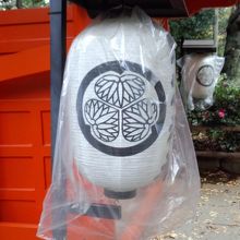 徳川家ゆかりの神社なので、紋は三つ葉葵です。