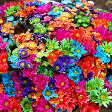 色水を使って着色している色とりどりな花たち
