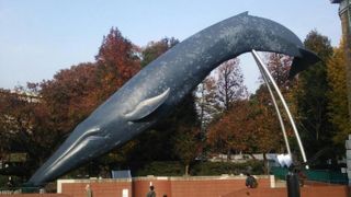 2014年１１月現在地球館一部改修工事中です