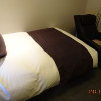 ベットとマッサージ器