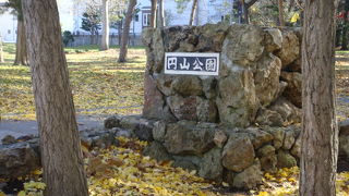 自然豊かな公園