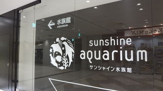 かつて一世を風靡