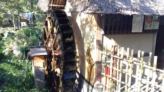 そばは打っていませんが