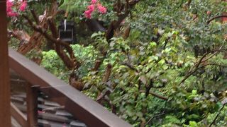 すてきなお庭を眺めながらゆったりした気分を味わえる