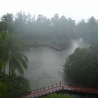 まだ雨季のようで、深夜とお昼ごろに、毎日スコールがありました