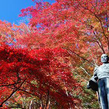 東郷銅像と紅葉