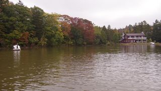 幼児連れでの軽井沢では助かる公園です。