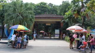 ある意味フィリピンらしい動物園