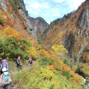 黒部ダムから欅平までの命がけの登山道は紅葉が見事