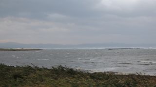 サンゴ草で有名です