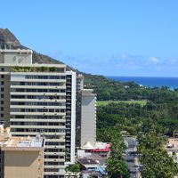 もう少し接写で撮るとこんな感じになります。