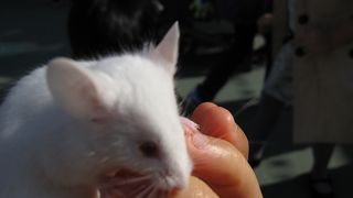 なかよし広場目的