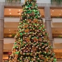 クリスマスツリー