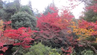 安芸の宮島は秋がベスト