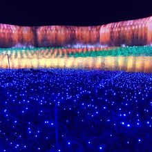 素晴らしいです