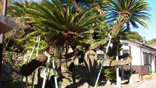 道端にあります